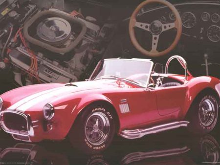 AC Cobra For Discount