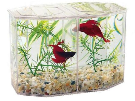 LEE S - Betta Keeper Kit, Large - 1 Kit Cheap